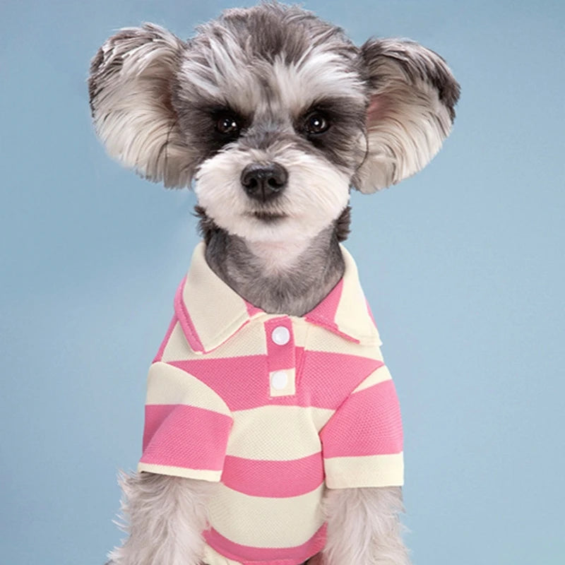 Pet Dog Polo Shirt
