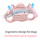 Stylish Dog Horizontal Backpack with Leash Handle