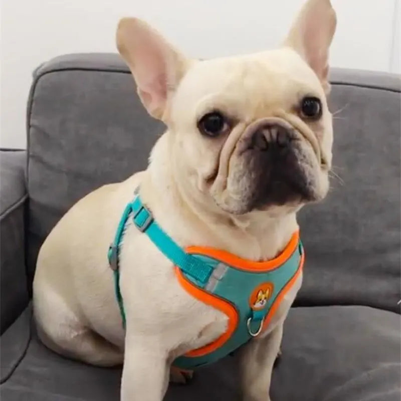 No Pull Pet Reflective Dog Harness