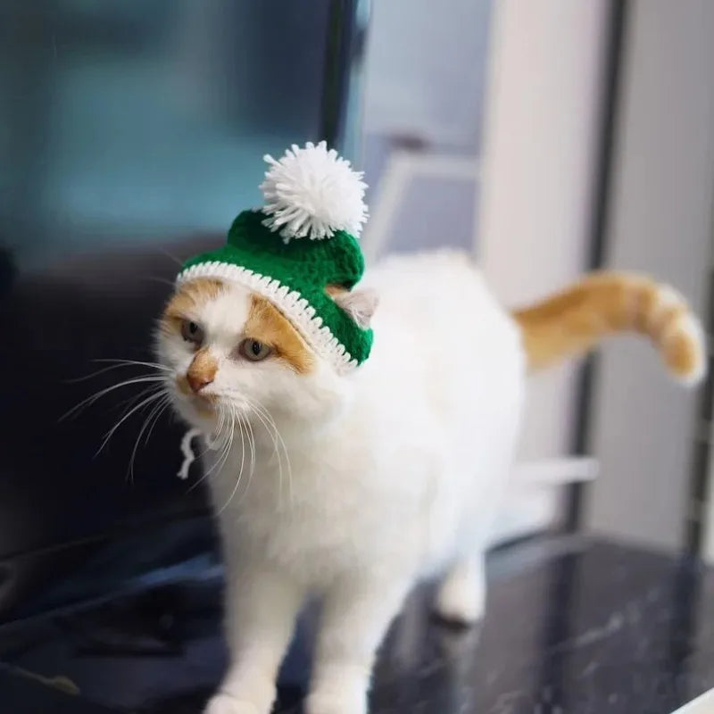 Pet Christmas hats