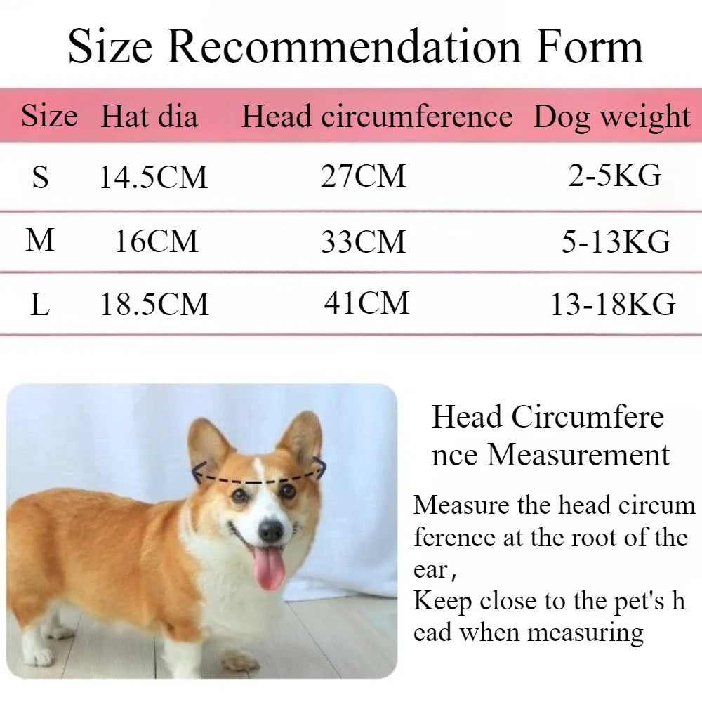 Dog Hat with Ear Holes