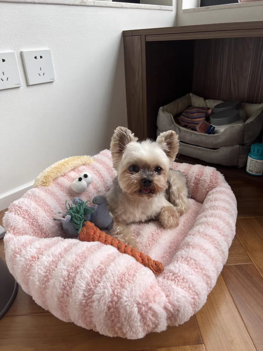 Puppy special sofa