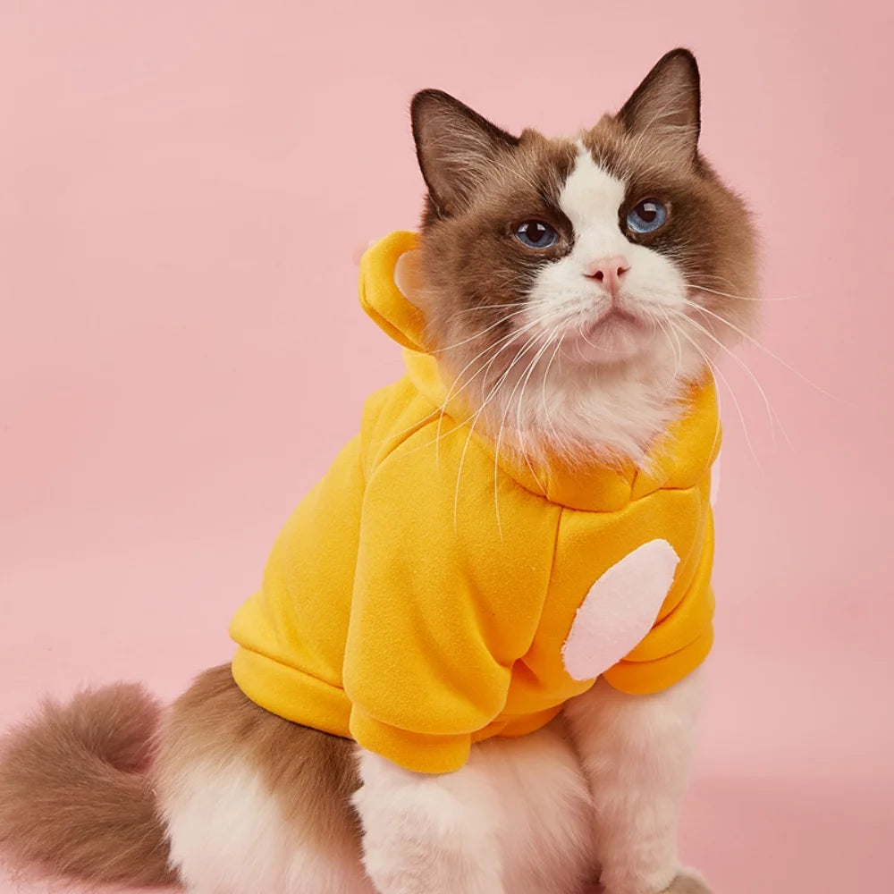 Cute Hairless Cat Clothes