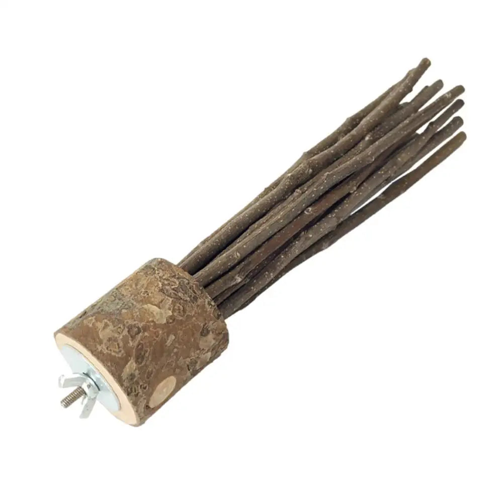 Pet Parrot Bird Standing Stick