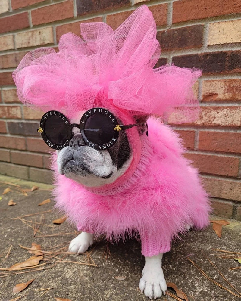 Pet Colorful Sweater