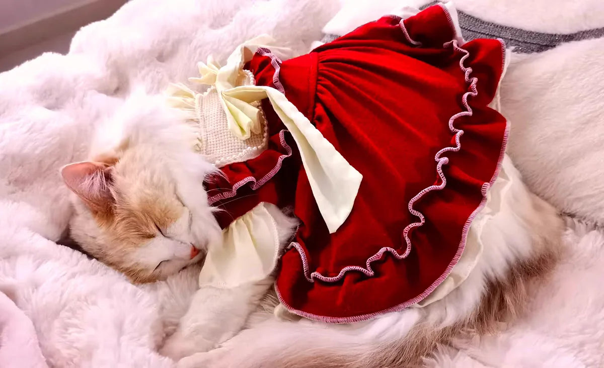 Cat Skirt & Bow Princess Skirt