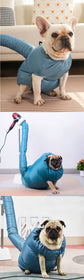 Pet Dogs Dryer