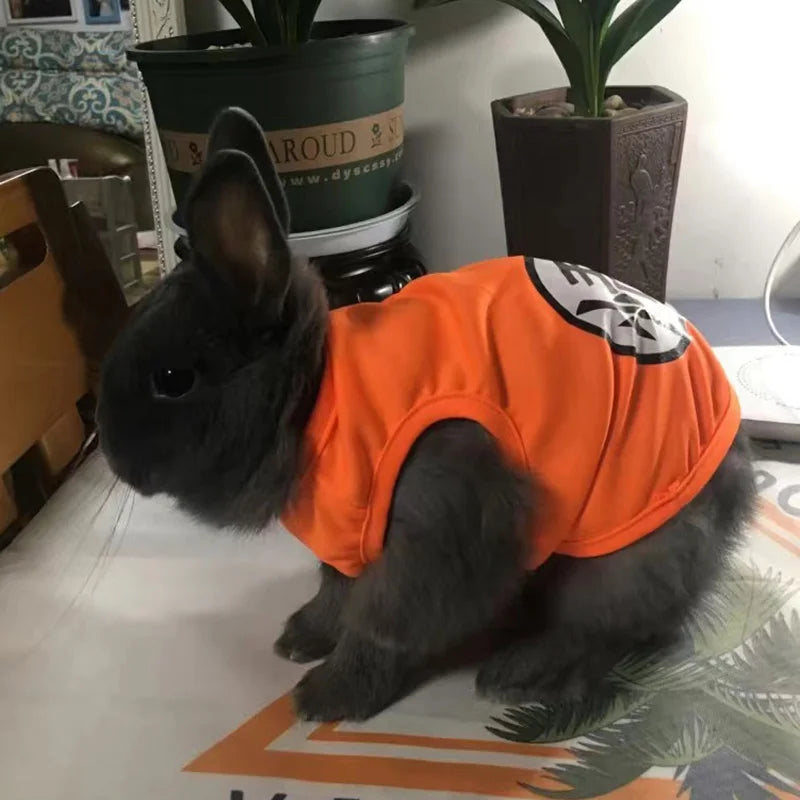 Pet Vest for Rabbit Cats