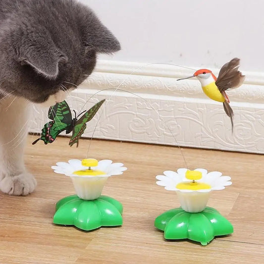 Electric Butterfly or Humming Bird Cat Toy