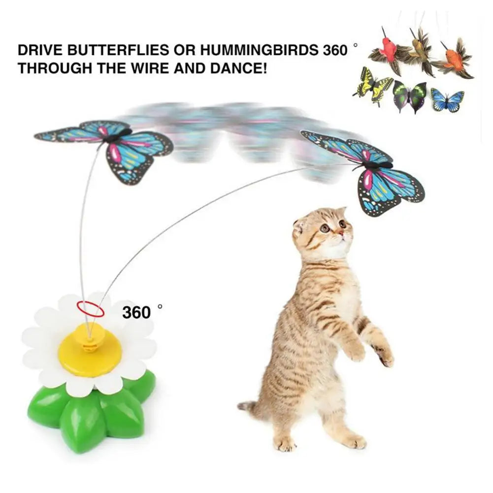 Electric Butterfly or Humming Bird Cat Toy