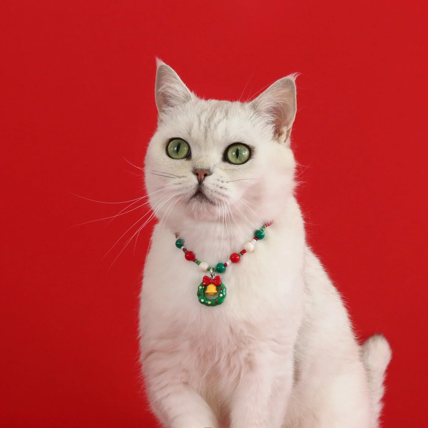 2026 Christmas Pet Collar