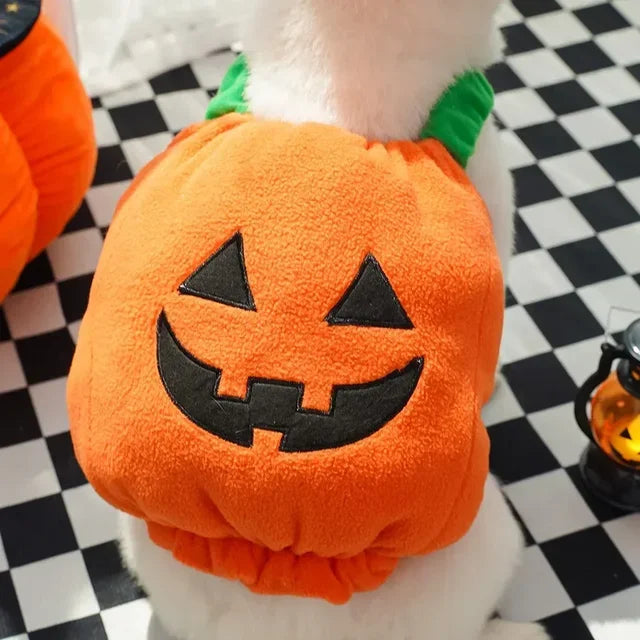 Halloween Pumpkin Vest For Dogs Cats