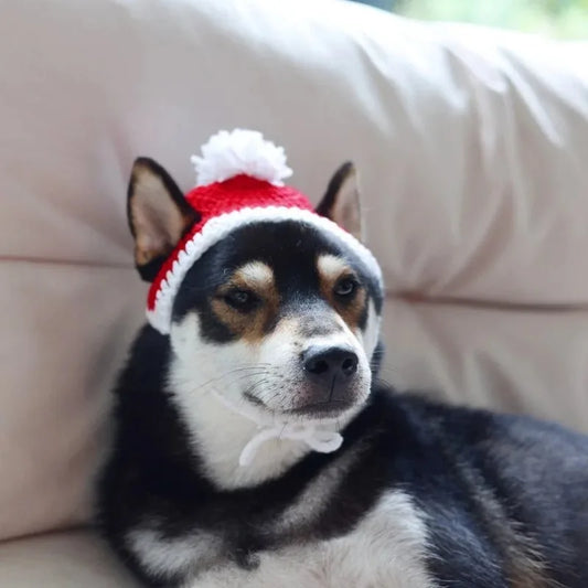 Pet Christmas hats