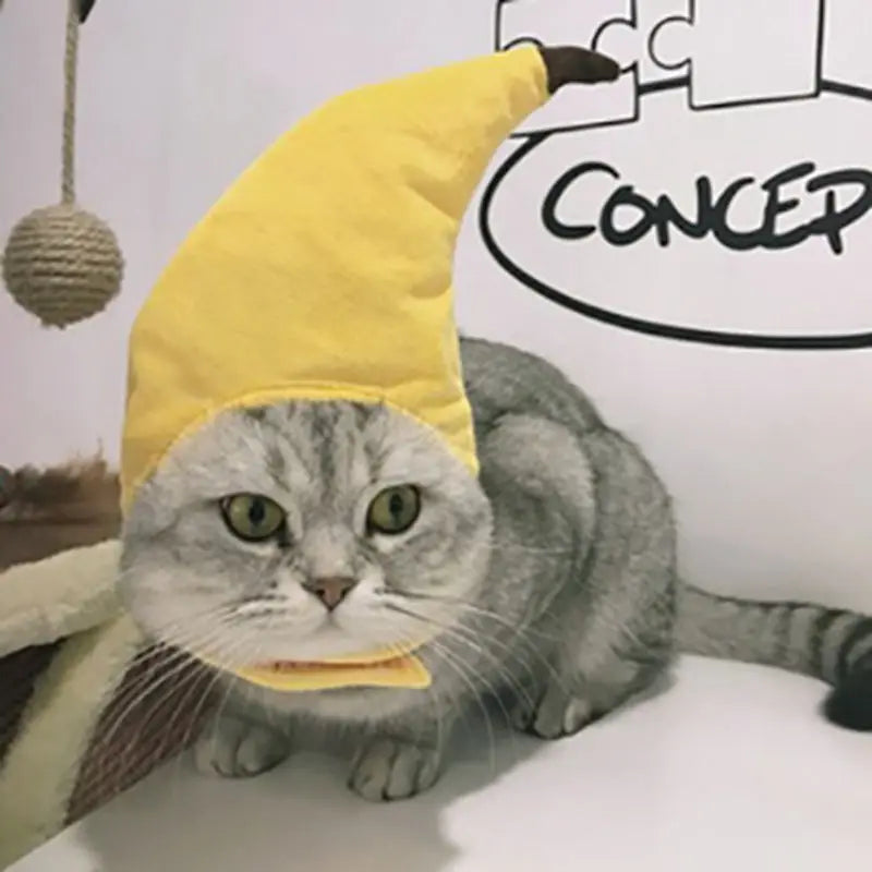 Halloween Funny Pet Cat Cap Costume