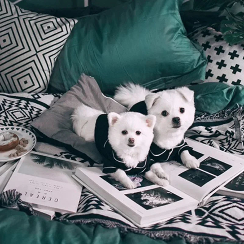 summer Dog Pajamas