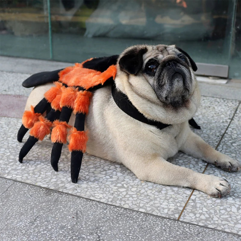Halloween Cute Pet Clothes