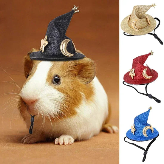 Mini Witch Hat for Small Animals