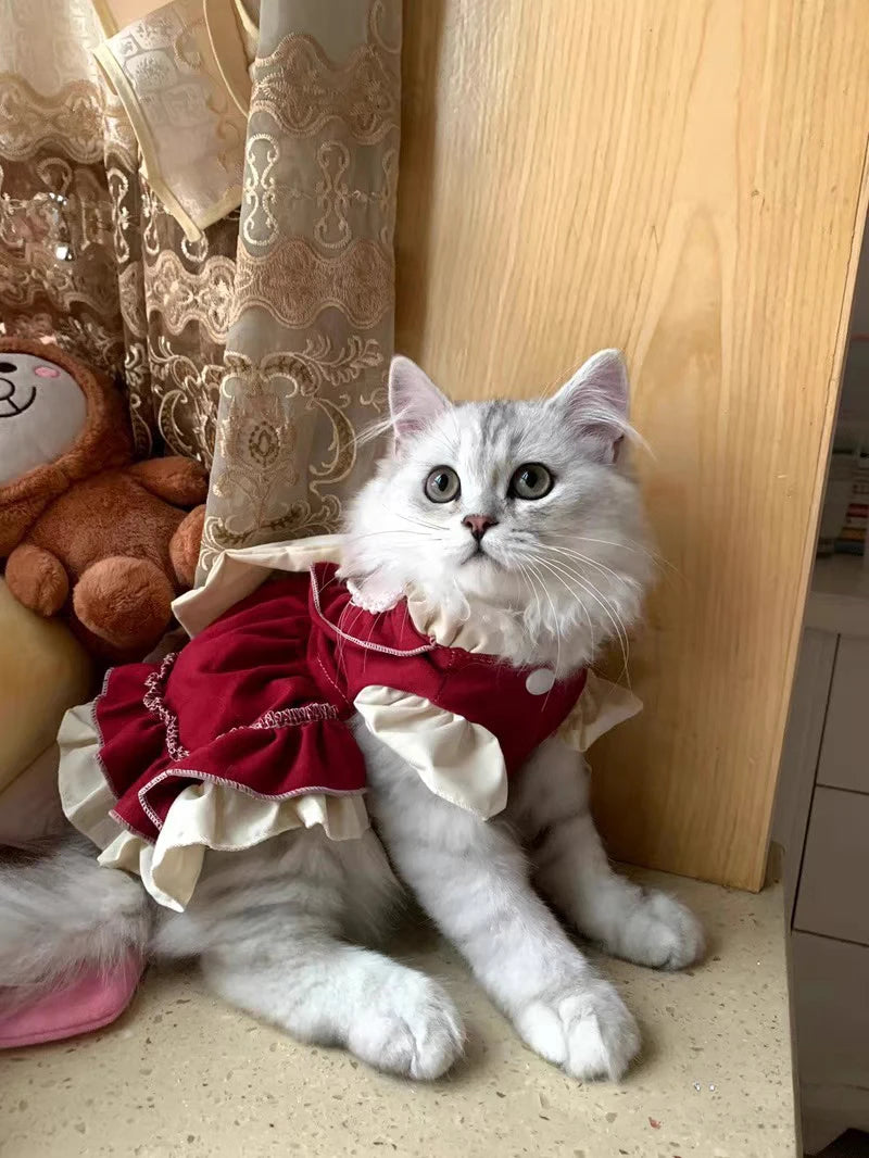 Cat Skirt & Bow Princess Skirt