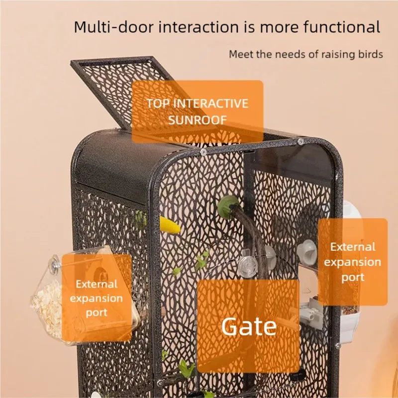 New bird, parrot cage