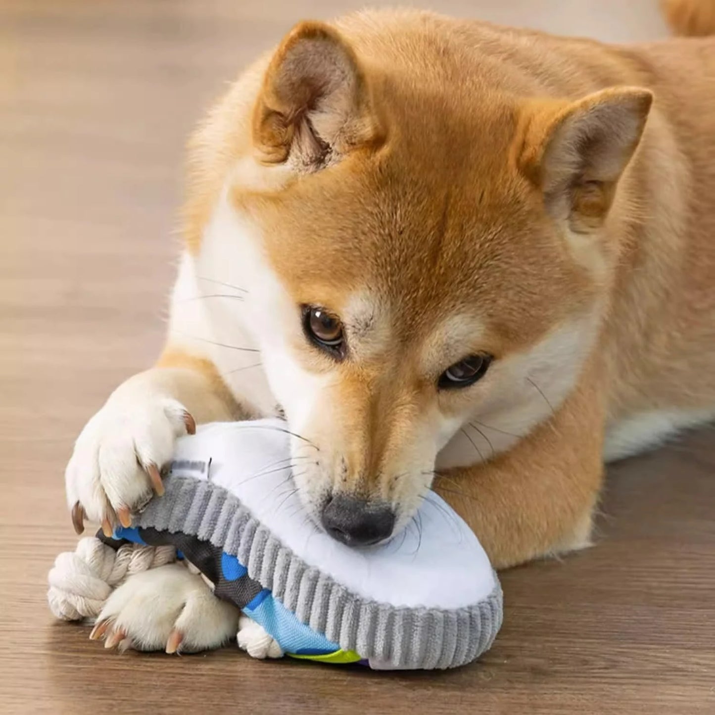 Chew Toy for Active Dogs
