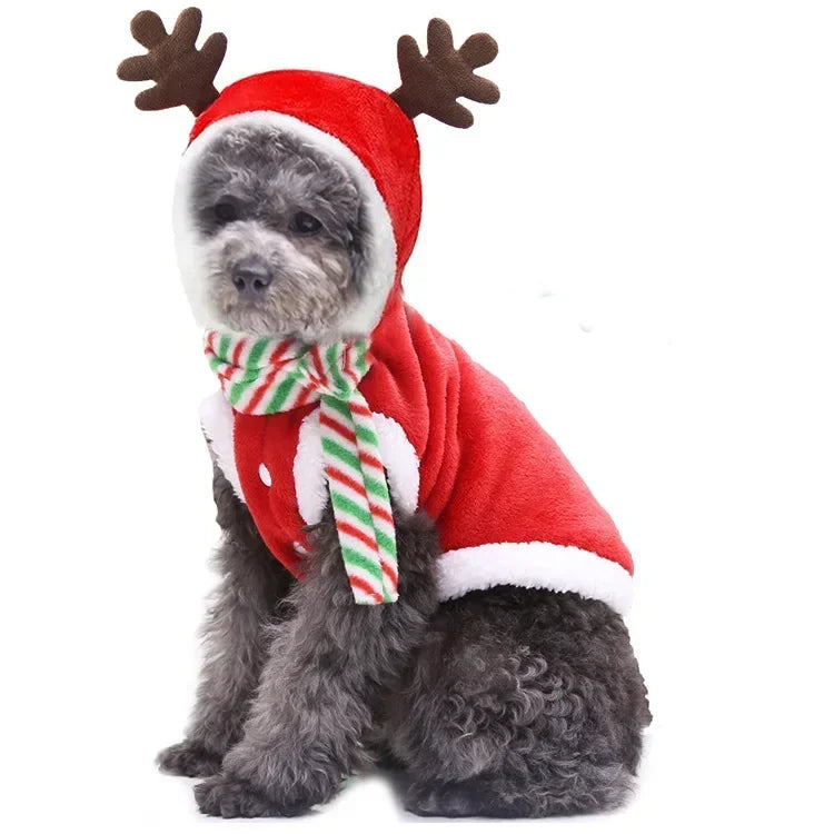 Dog Christmas Clothes
