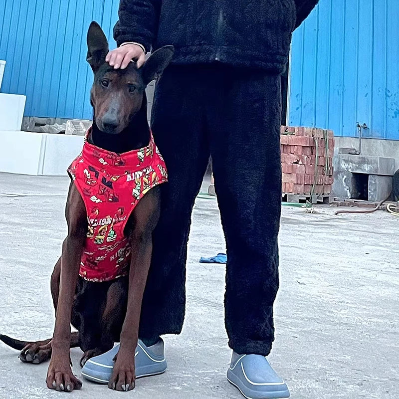 Fashion Big Dog Waterproof Jacket