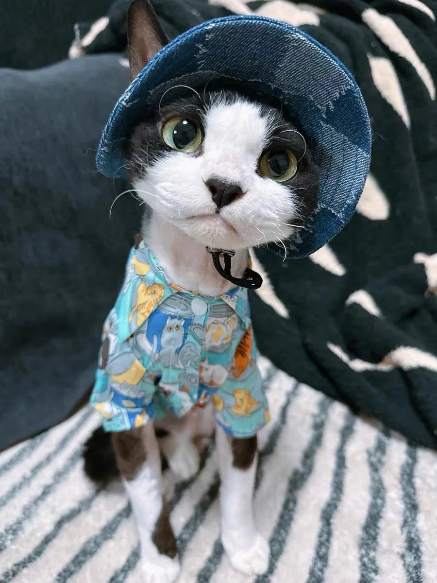 Fashion Cat hat Summer Sun Hats for Sphynx Kittens Open Ears Blue Cowboy Hats Adjustable Cap Cord for Devon Rex Cat Supplies