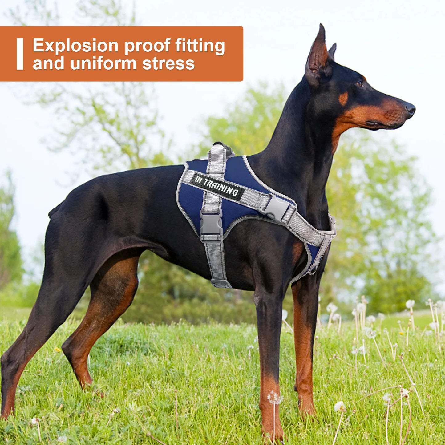 Service Dog Vest Harness