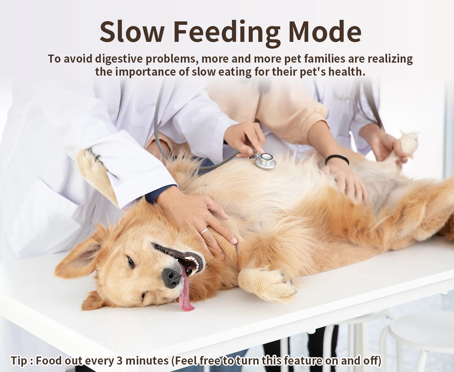 PAPIFEED Smart Automatic Cat Feeders