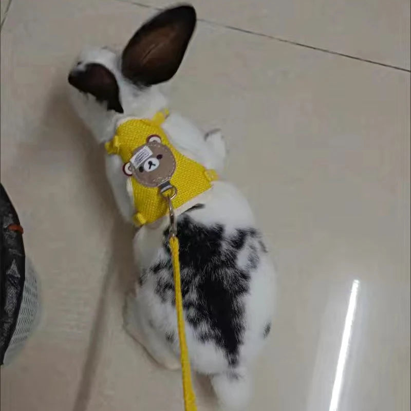 Newest Cute Rabbit Harness and Leash Set