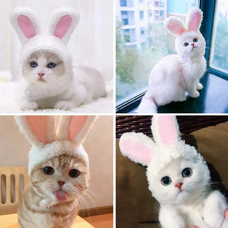 Cat Cosplay Dress Up Pet Hat Lion Mane
