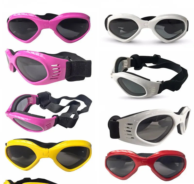 Foldable Pet Glasses