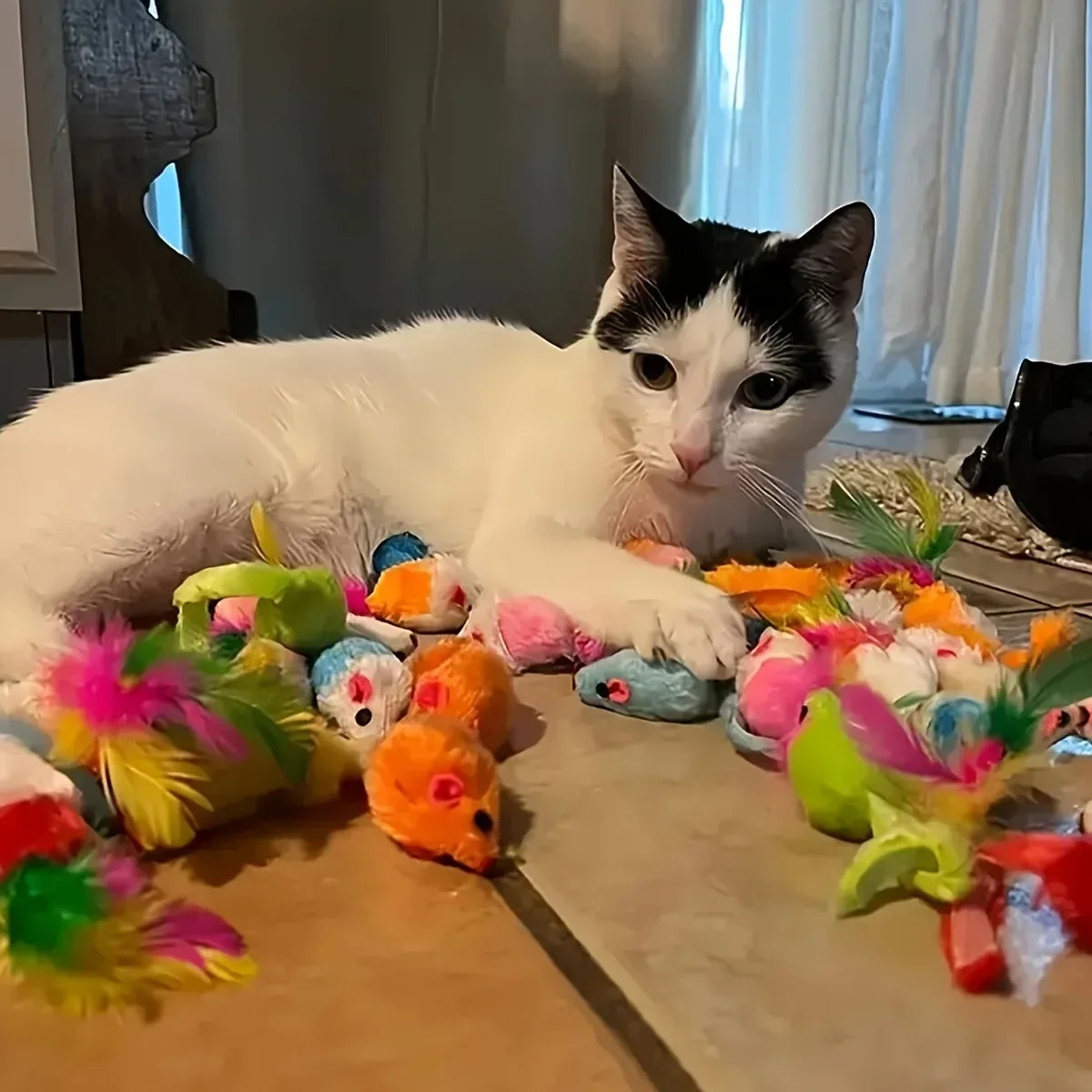 56pcs/28pcs/14pcs Cat Toys
