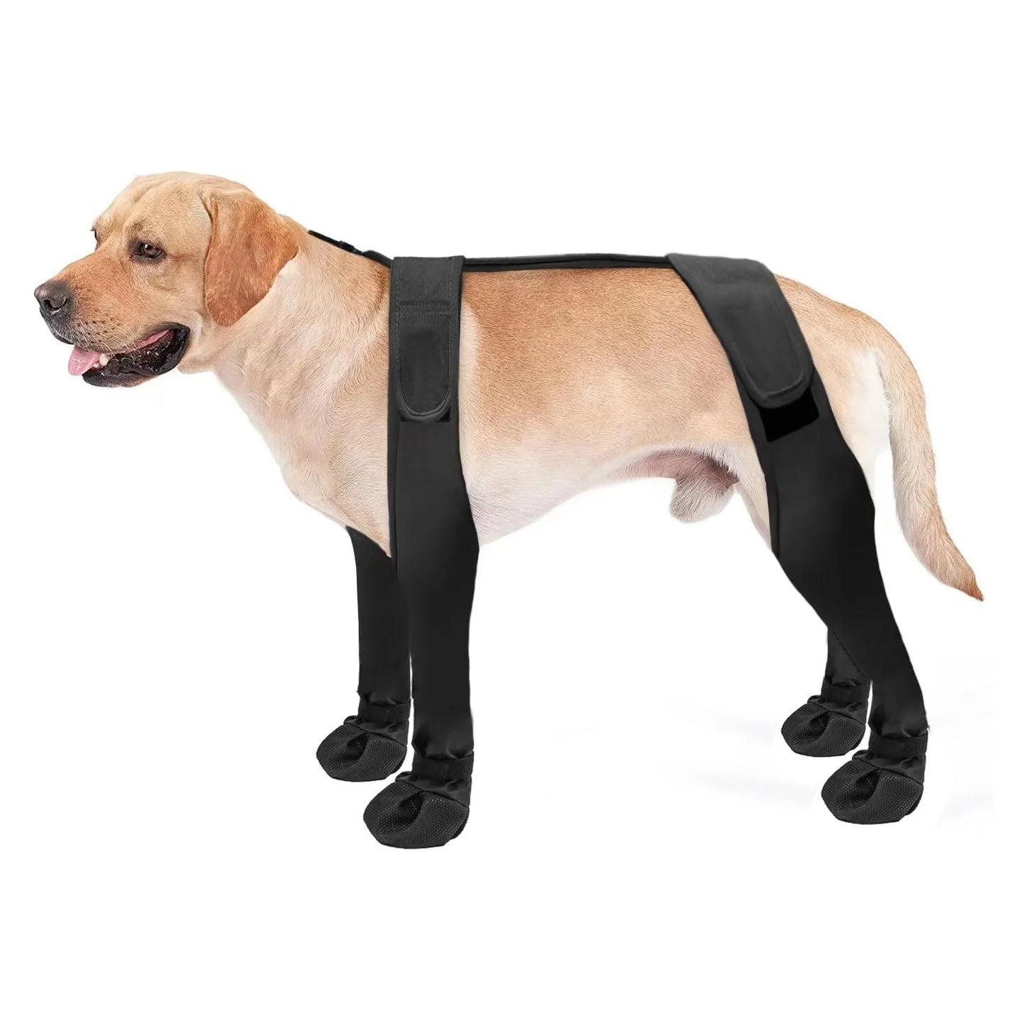 go out dog boots
