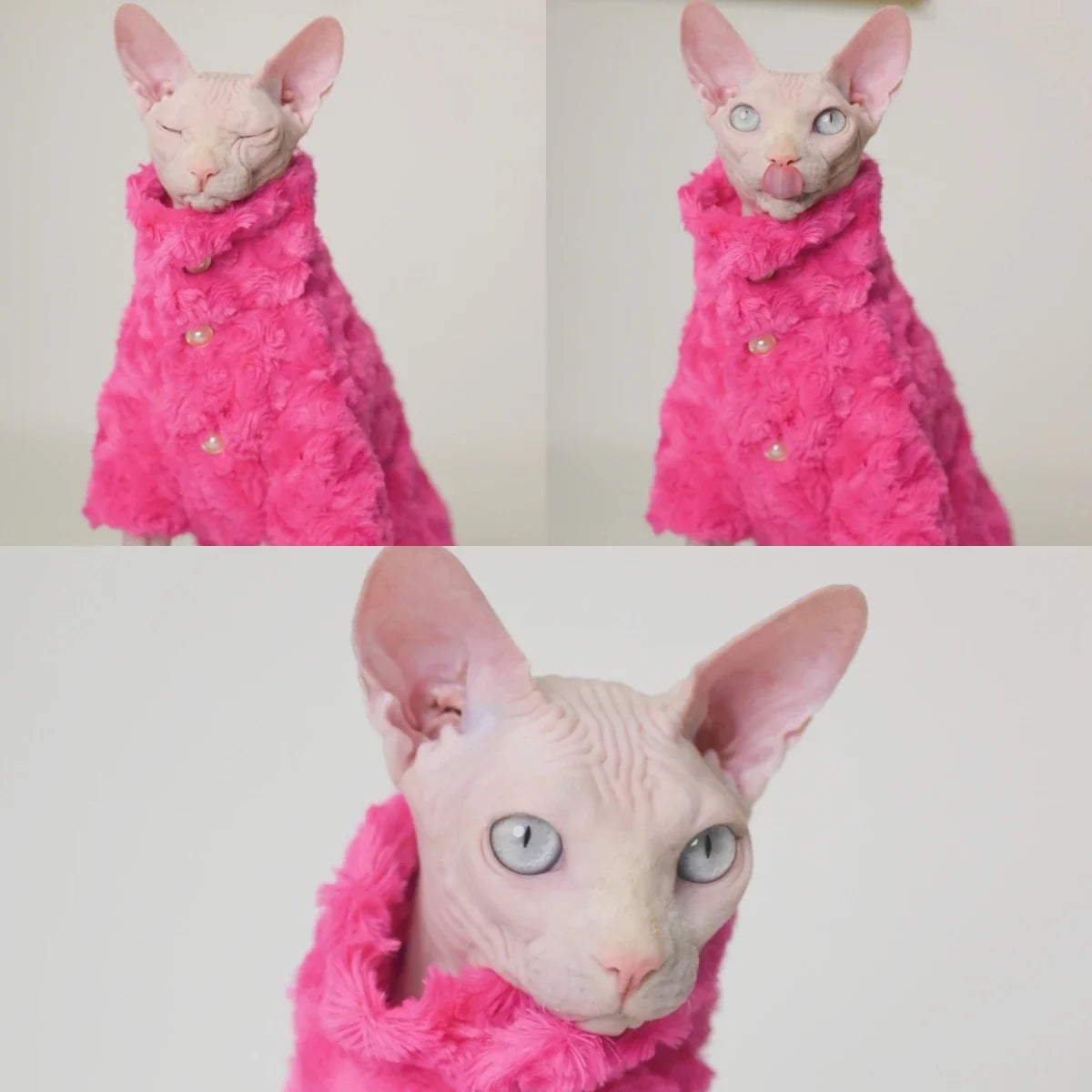 Hairless Cat Clothes Winter Two-layers Warm Thick Cat Apparel for Sphynx Cats, Devon Rex Cats,Small Cats and Dogs