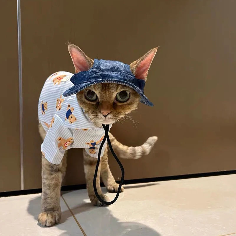 Fashion Cat hat Summer Sun Hats for Sphynx Kittens Open Ears Blue Cowboy Hats Adjustable Cap Cord for Devon Rex Cat Supplies