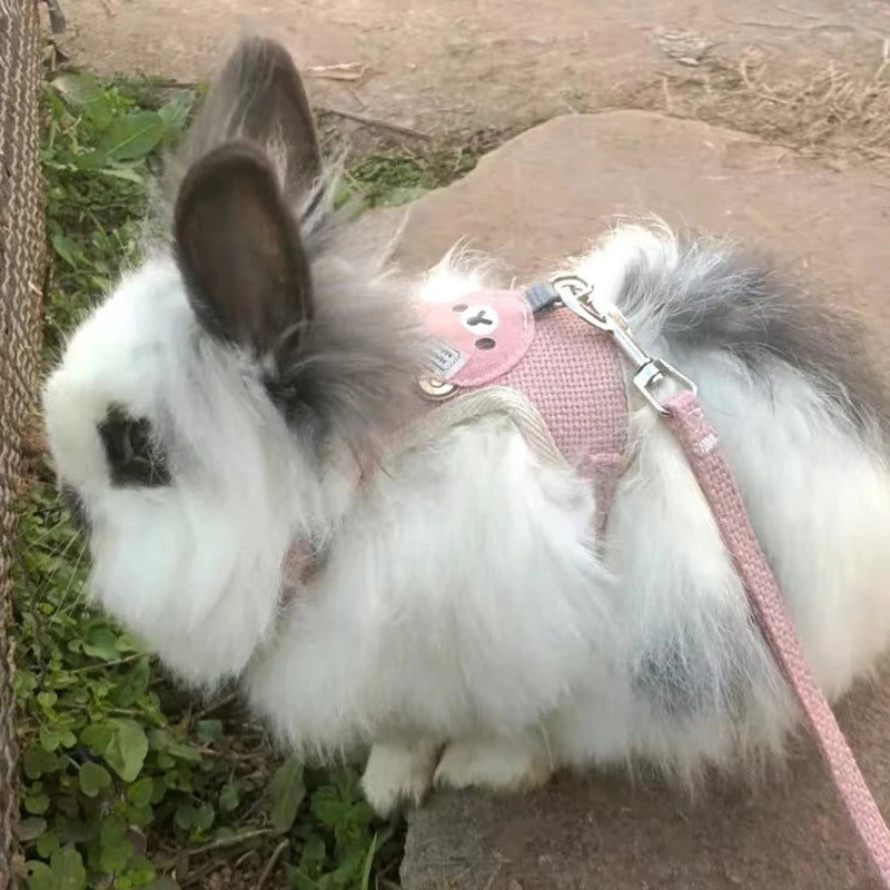 Newest Cute Rabbit Harness and Leash Set