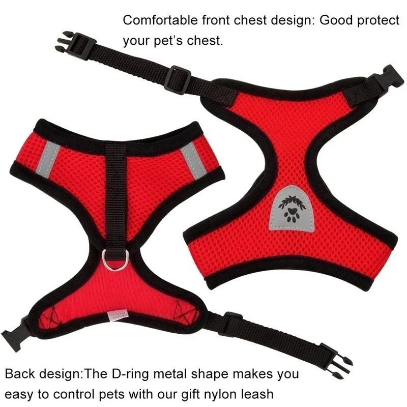 Cat Harness
