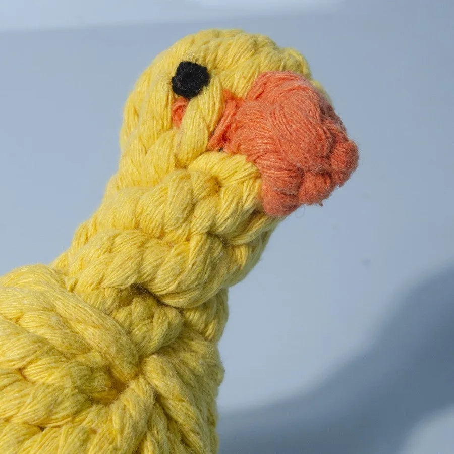 Pet Knot Toy;