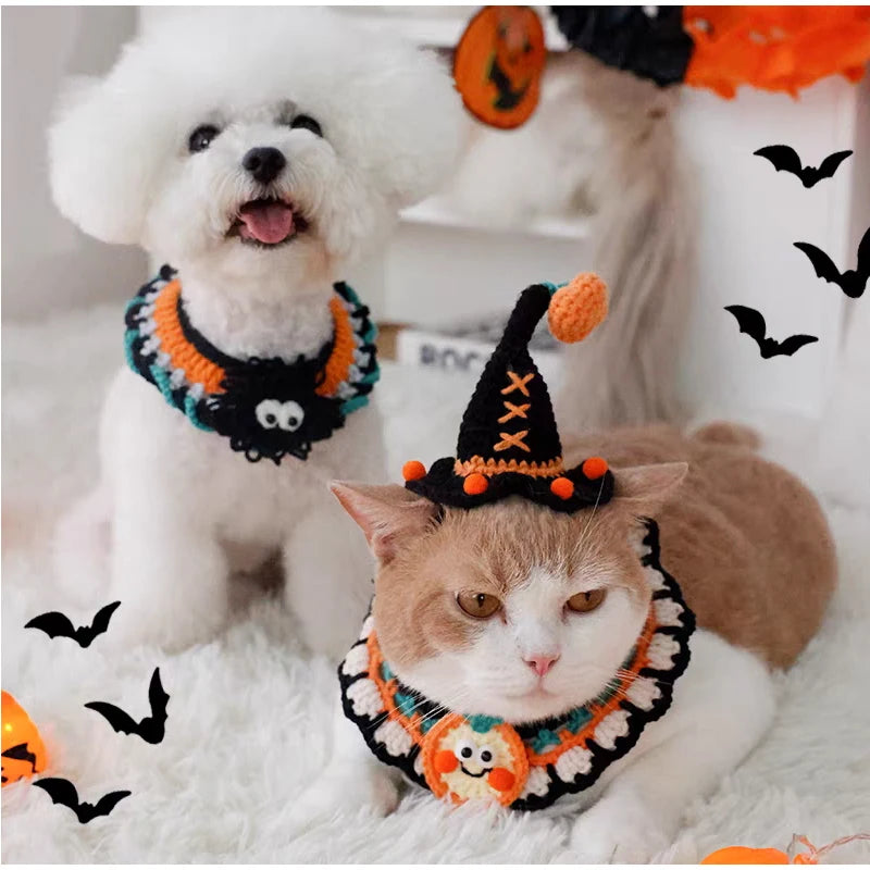 Halloween Dog & Cat Collar
